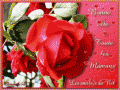 rtp3c8uq.gif
