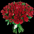 rose1.png