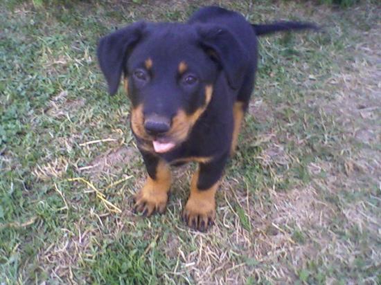 dora à 1 mois et 20 jours