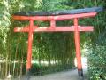 JARDIN JAP5.jpg