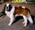 laskar