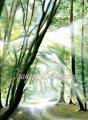 Album par d�faut