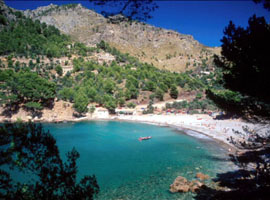 majorca.jpeg