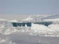 Paysages d'hiver