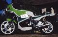 1000 ST 1981