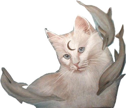 Chat blanc lune