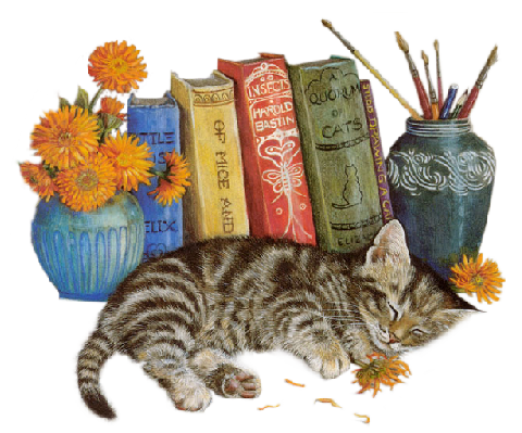 Chat livres