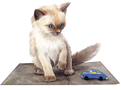 Siamois voiture