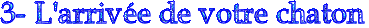 text2.gif