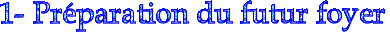 text0.gif