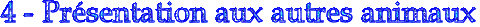 text3.gif