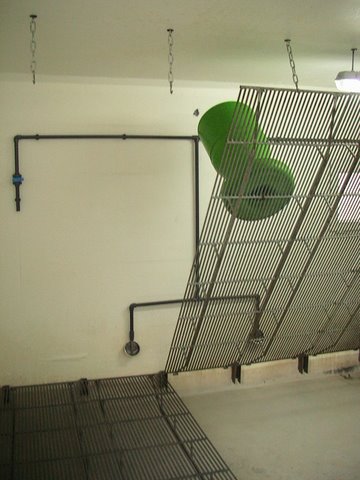 IMG_5690.JPG