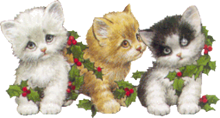 chat_442.gif