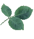 feuilles14.gif