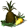 pineapple_rocking_with_fruit_md_wht.gif