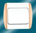 interupteur s.allumage galaxie bms