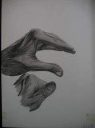 dessins 003.jpg