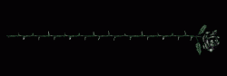 003.gif