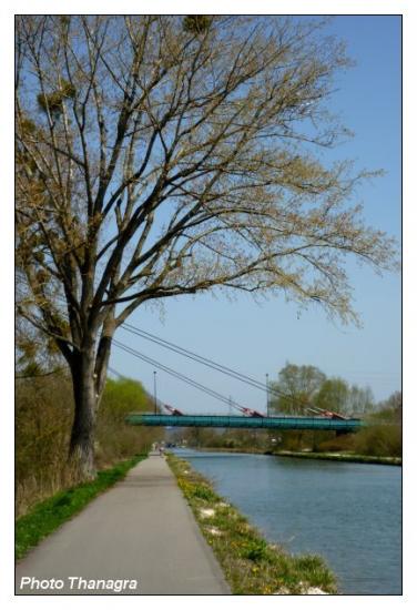 015.jpg le pont de technoland