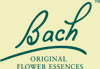 logo2.gif