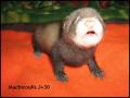 Machicoulis