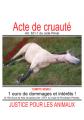 http://justice-pour-les-animaux.org/