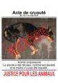 http://justice-pour-les-animaux.org/
