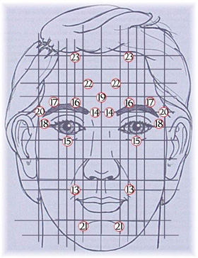 11427388massage-visage-2-jpg dans MEDECINES DOUCES