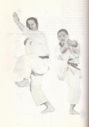 article_1264285.jpg