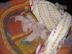 DSCN0228.JPG