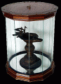 Photos-vitrines