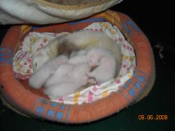 DSCN0337.JPG