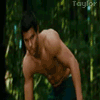 Un lien avec l'élu ? 85270616taylorl-gif