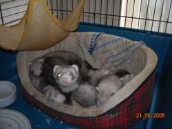 DSCN0530.JPG