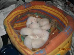 DSCN0519.JPG