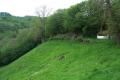 paysage