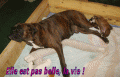 Les b&eacute;b&eacute;s