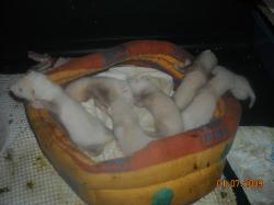 DSCN0050.JPG