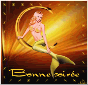 http://s1.e-monsite.com/2009/07/06/11/46883974bonne-soiree-at-nadia-gif.gif