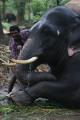 Cliquez pour découvrir les photos de notre voyage en Inde