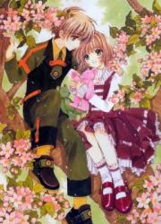 893l9a0d.jpg