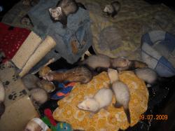DSCN0230.JPG