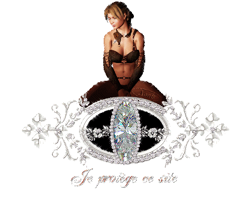Protecteur du site