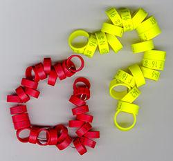 Bagues officielles