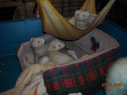 DSCN0465.JPG