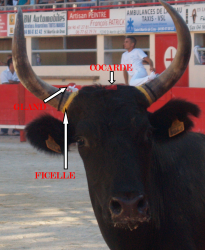P7252987.png