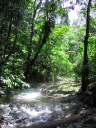 Guyane E9.jpg