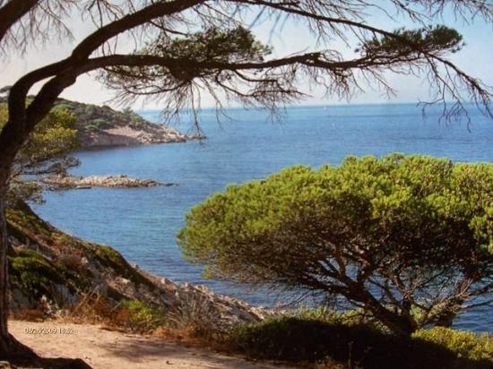 Provence-Cote d'azur.JPG