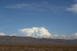 parc de los Cardones
