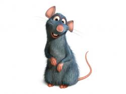 ratatouille1.jpg